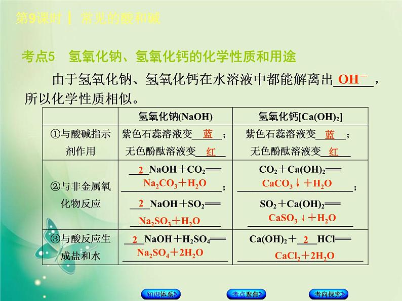 北京专版中考化学基础复习三身边的化学物质第9课时常见的酸和碱课件第8页