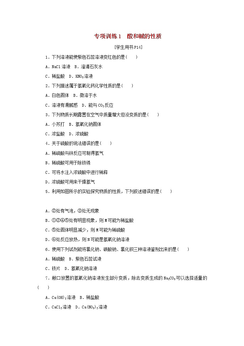 九年级化学下册第七单元常见的酸和碱专项训练1酸和碱的性质练习鲁教版01