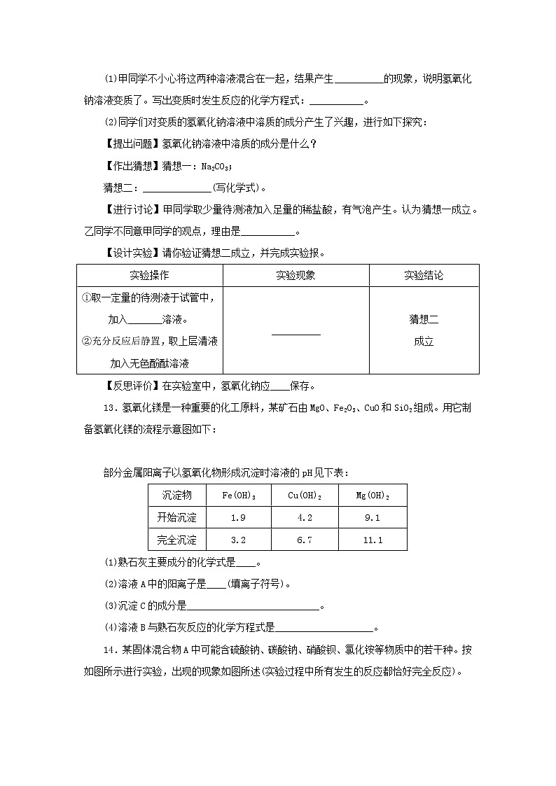 九年级化学下册第七单元常见的酸和碱专项训练1酸和碱的性质练习鲁教版03