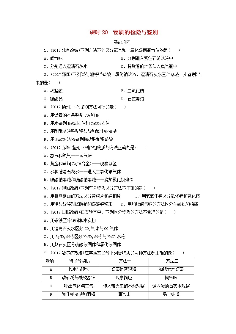 广东省中考化学总复习课时20物质的检验与鉴别练习01