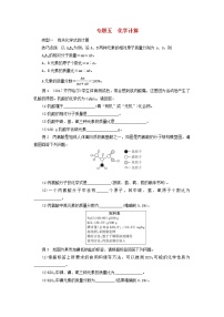 广东省中考化学总复习专题五化学计算练习