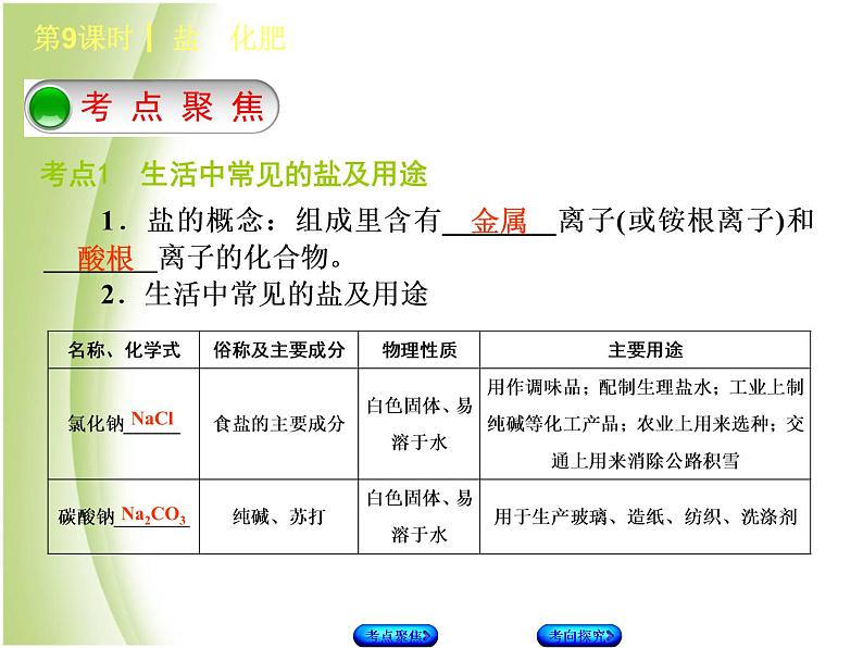 湖南省中考化学复习专题一身边的化学物质第9课时盐化肥课件第2页