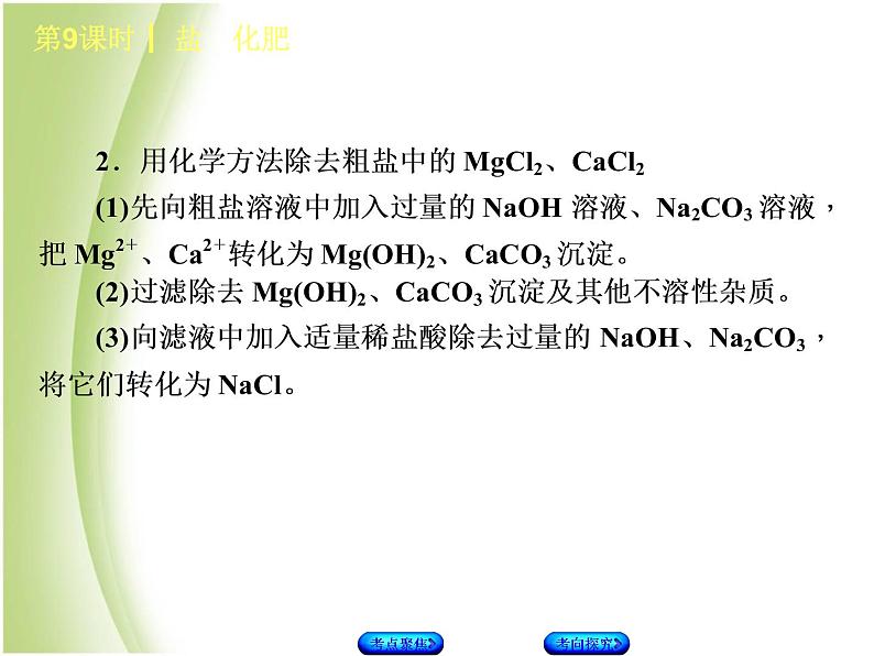 湖南省中考化学复习专题一身边的化学物质第9课时盐化肥课件第5页