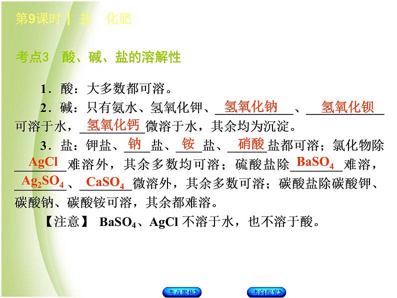 湖南省中考化学复习专题一身边的化学物质第9课时盐化肥课件第6页