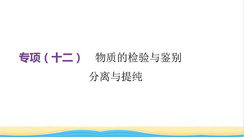 江西专版中考化学总复习基础过关专项12物质的检验与鉴别分离与提纯课件第2页