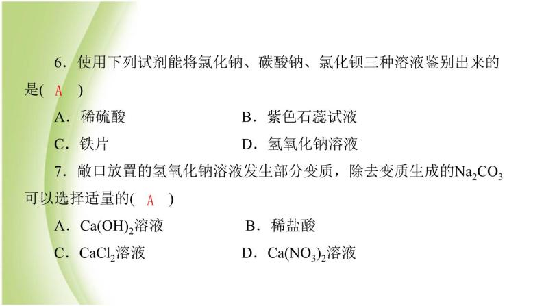 九年级化学下册第七单元常见的酸和碱专项训练1酸和碱的性质课件鲁教版04