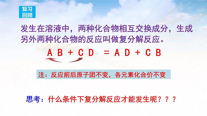 11.1复分解反应发生的条件九年级化学人教版下册课件PPT第4页