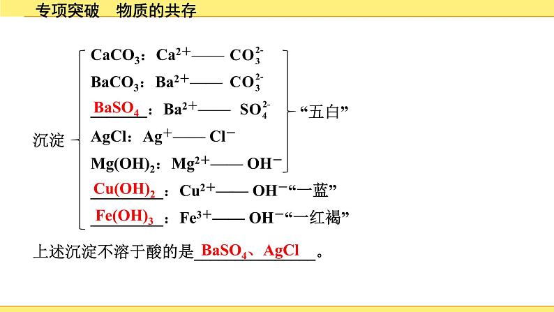 02.专项突破 物质的共存第4页