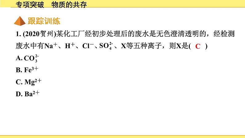02.专项突破 物质的共存第6页