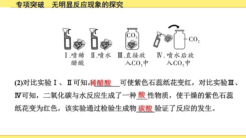 07.专项突破 无明显反应现象的探究第8页