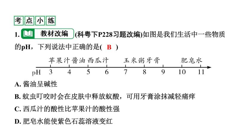2022年陕西省中考化学一轮复习课件：主题5　常见的酸和碱06