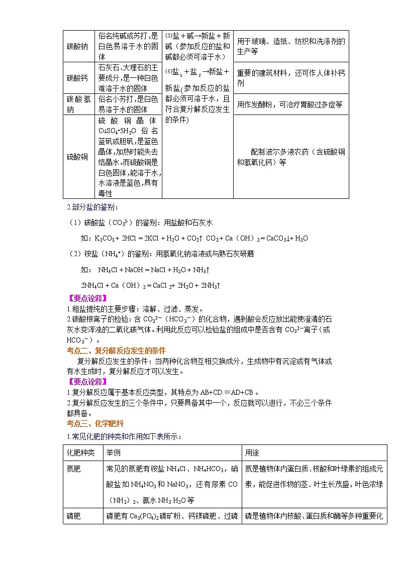 考点09盐及化学肥料(解析版)-2022年化学中考一轮过关讲练(沪教版)学案第2页