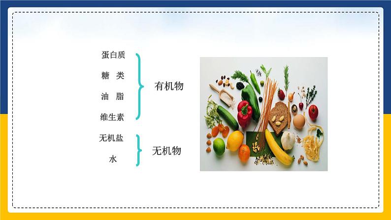 12.1 人类重要的营养物质(课件+教案+练习)04