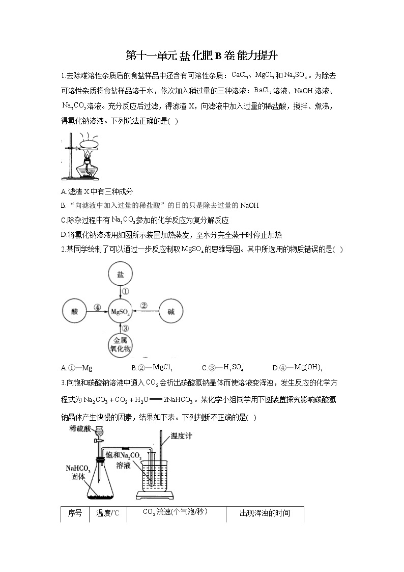 第十一单元 盐 化肥 B卷 能力提升—— 人教版九年级下册化学单元测试AB卷01