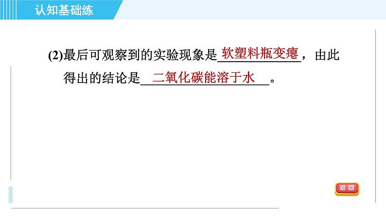 人教版九年级上册化学 第6单元 6.3.1 目标一 二氧化碳的性质 习题课件07