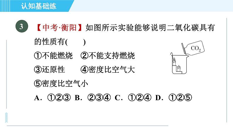 人教版九年级上册化学 第6单元 6.3.1 目标一 二氧化碳的性质 习题课件08