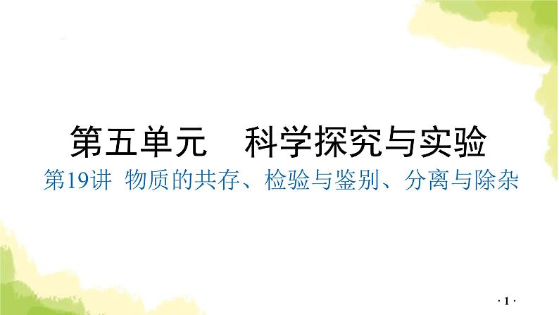 第19讲 物质的共存、检验与鉴别、分离与除杂PPT课件第1页