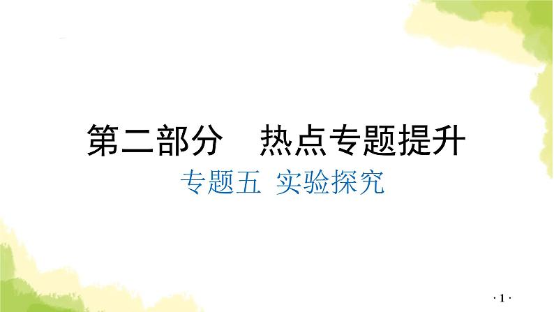 专题五 实验探究PPT课件第1页