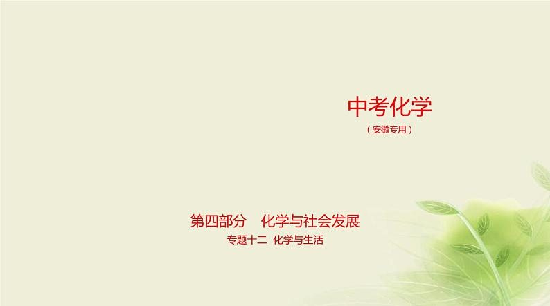 12专题十二化学与生活第1页