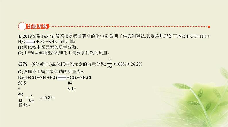 19专题十九化学计算题第2页