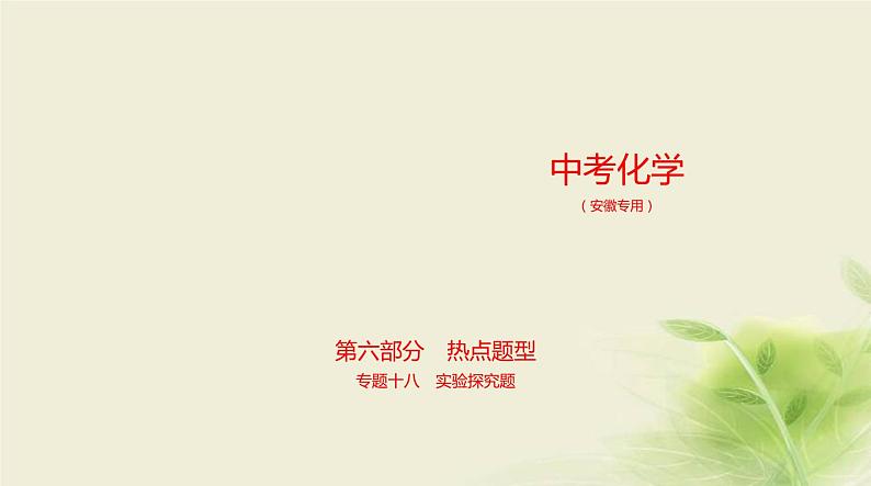 18专题十八实验探究题第1页
