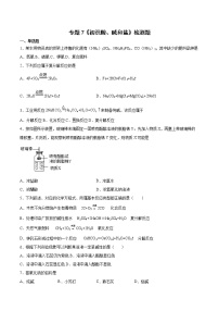 仁爱湘教版九年级下册专题七 初识酸、碱和盐综合与测试复习练习题