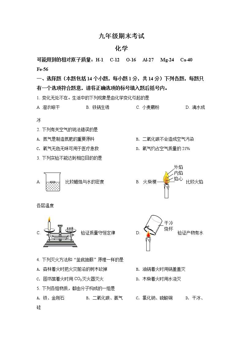 河南省濮阳市2021-2022学年九年级上学期期末化学试题(文字版,含答案)第1页