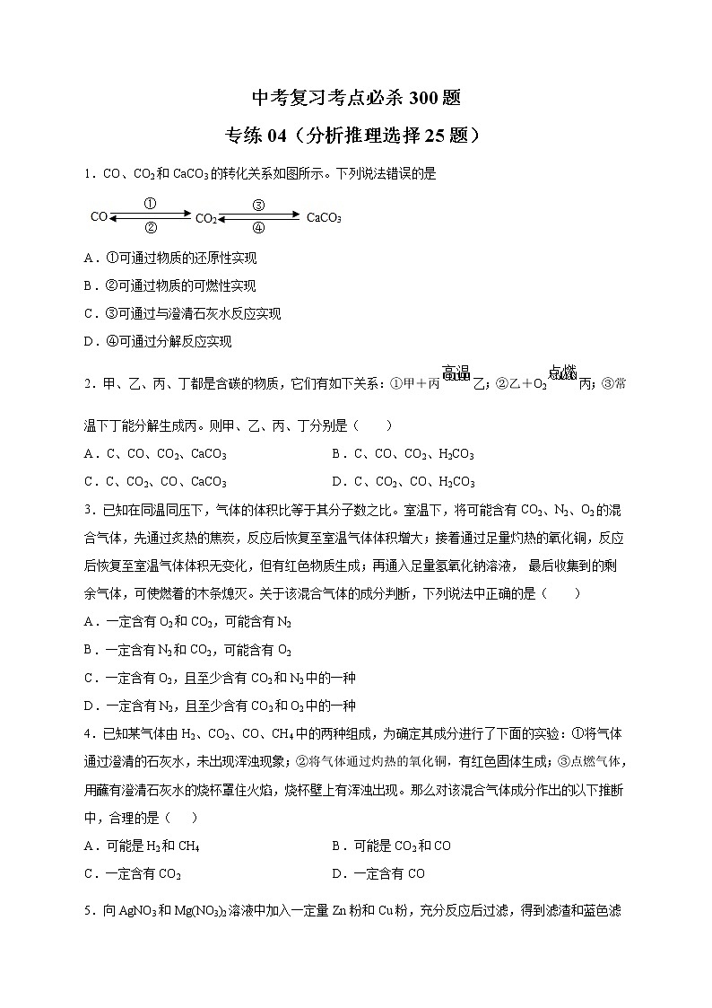 专练04(分析推理选择25题)-(原卷版)第1页