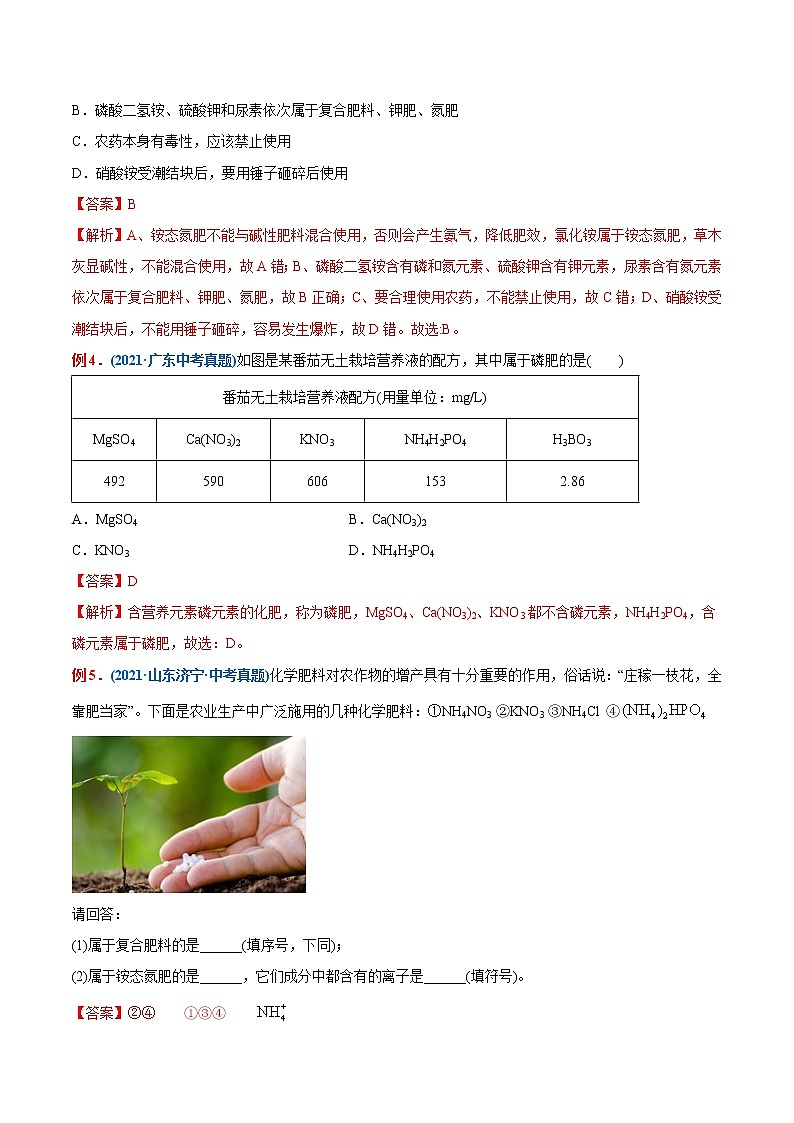 专题24 化学肥料(重点、难点)-备战2022年中考化学一轮复习考点微专题 (教师版含解析)第2页