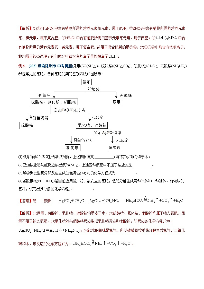 专题24 化学肥料(重点、难点)-备战2022年中考化学一轮复习考点微专题 (教师版含解析)第3页