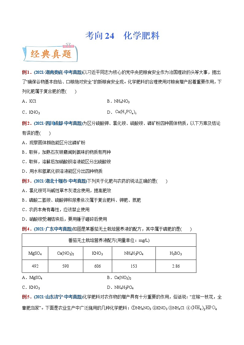 专题24 化学肥料(重点、难点)-备战2022年中考化学一轮复习考点微专题 (学生版)第1页
