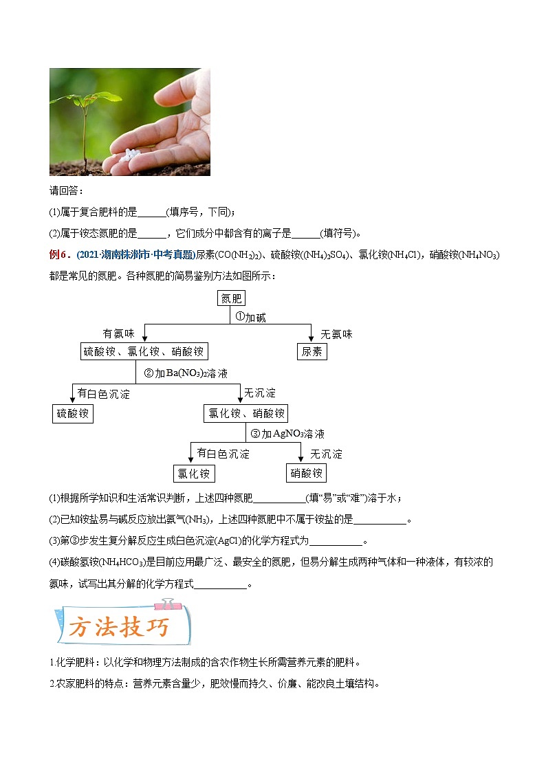 专题24 化学肥料(重点、难点)-备战2022年中考化学一轮复习考点微专题 (学生版)第2页