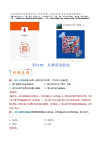 专题20  几种常见的盐（重点、难点）-备战2022年中考化学一轮复习考点微专题