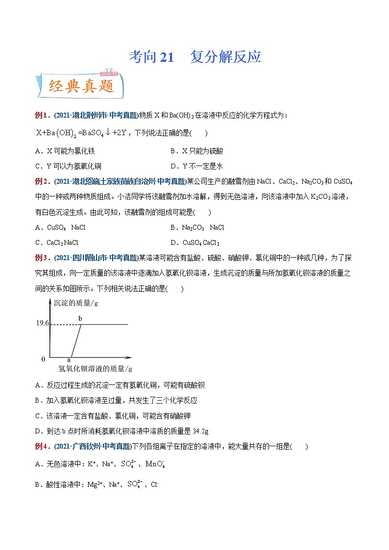 专题21  复分解反应(重点、难点)-备战2022年中考化学一轮复习考点微专题 (学生版)第1页