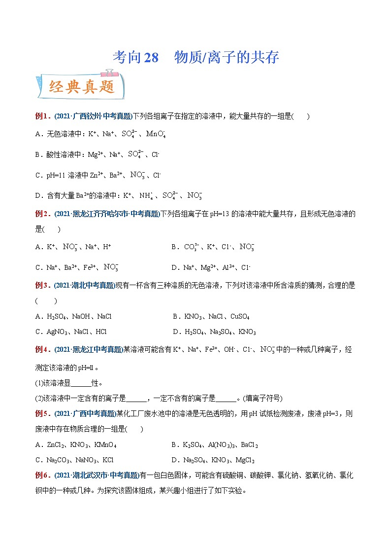 专题28  物质、离子的共存(重点、难点)-备战2022年中考化学一轮复习考点微专题 (学生版)第1页