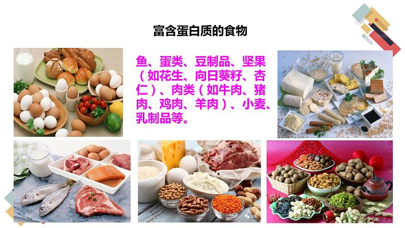 8.3 蛋白质 维生素(课件+教案+练习+导学案)08