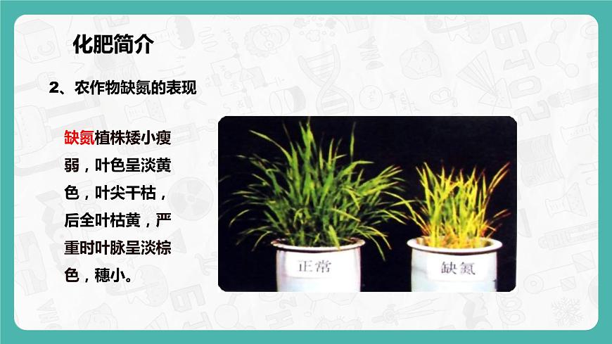 11.2 化學(xué)肥料 同步課件第8頁