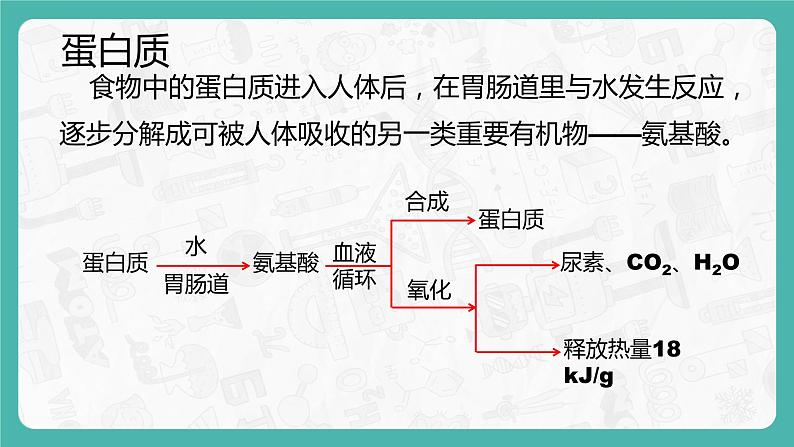 12.1 人类重要的营养物质(课件+教案+学案+练习)08