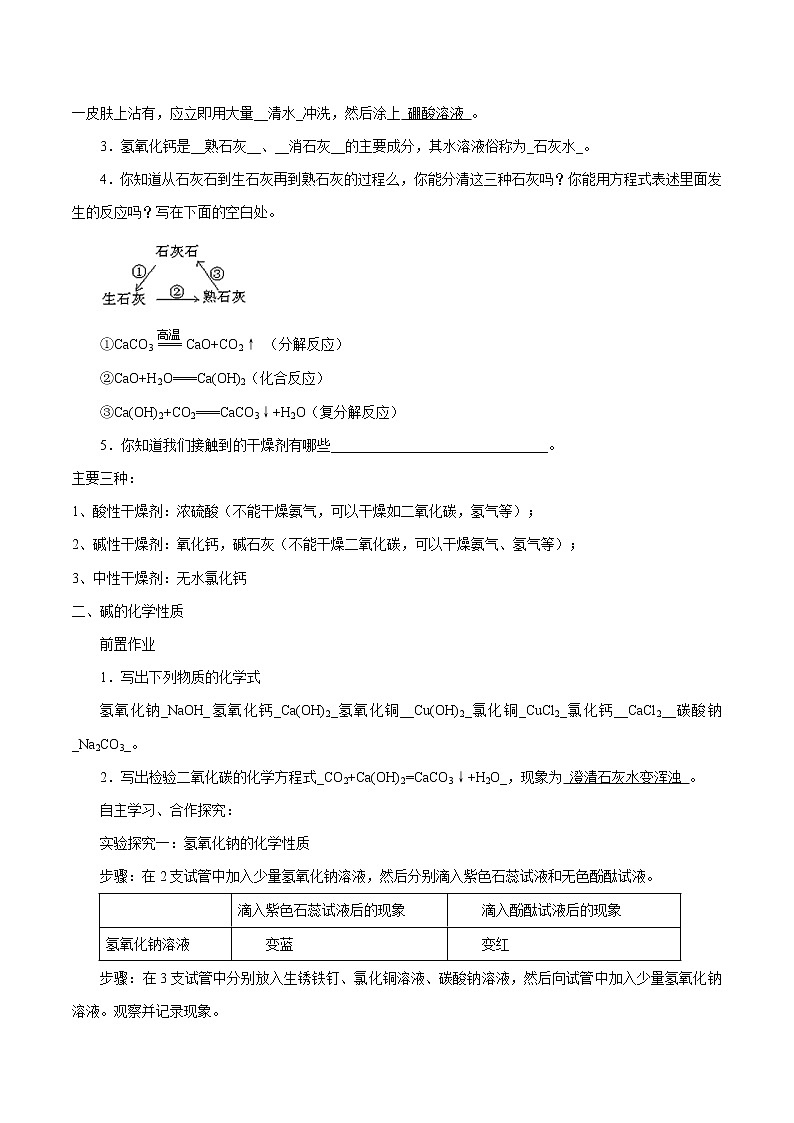 2.2 碱及其性质 同步学案 初中化学鲁教版(五四学制)九年级全一册(2022年)第2页