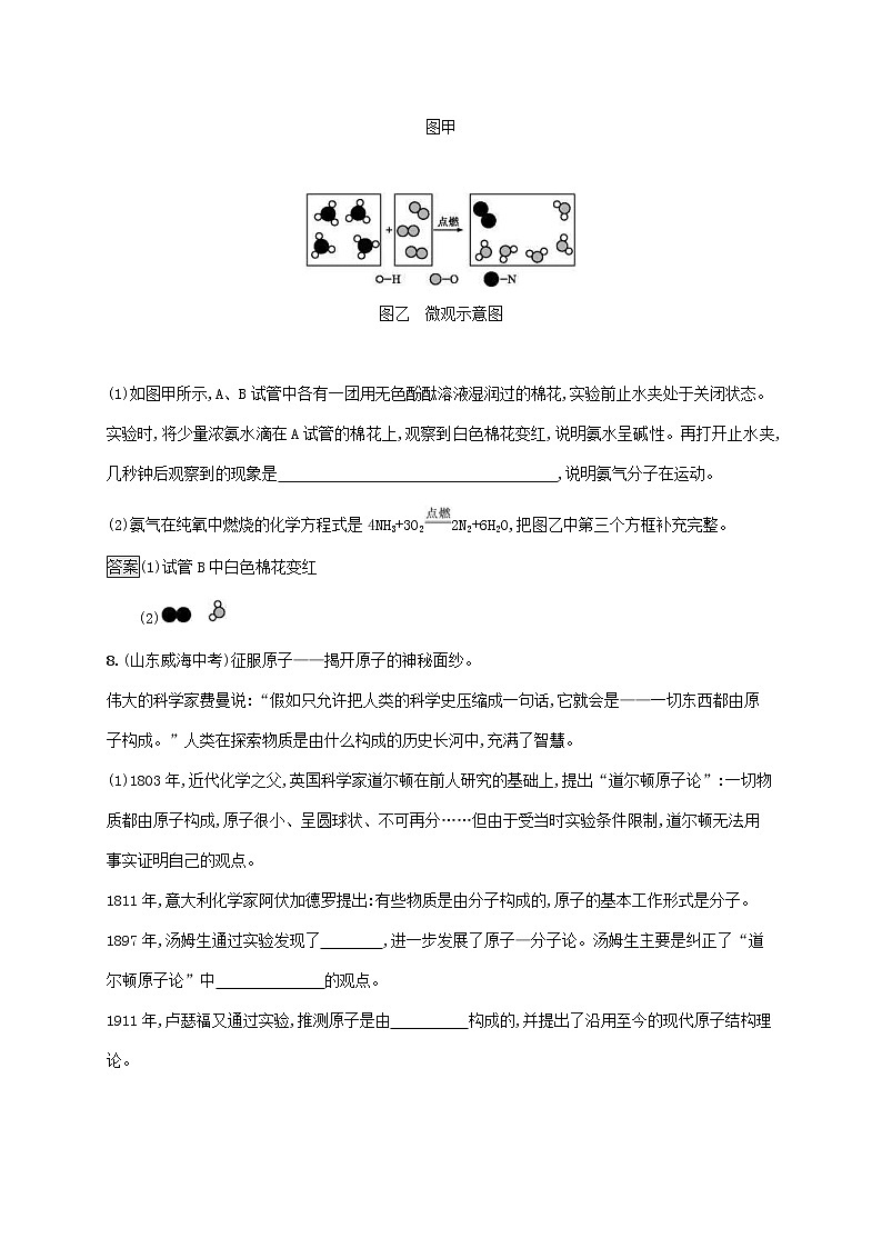 中考化学一轮复习基础知识过关03物质构成的奥秘知能优化训练 (含答案)03