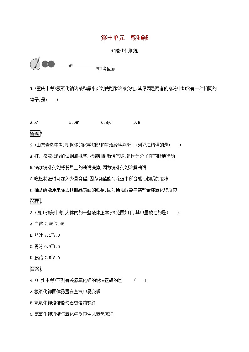 中考化学一轮复习基础知识过关10酸和碱知能优化训练 (含答案)第1页