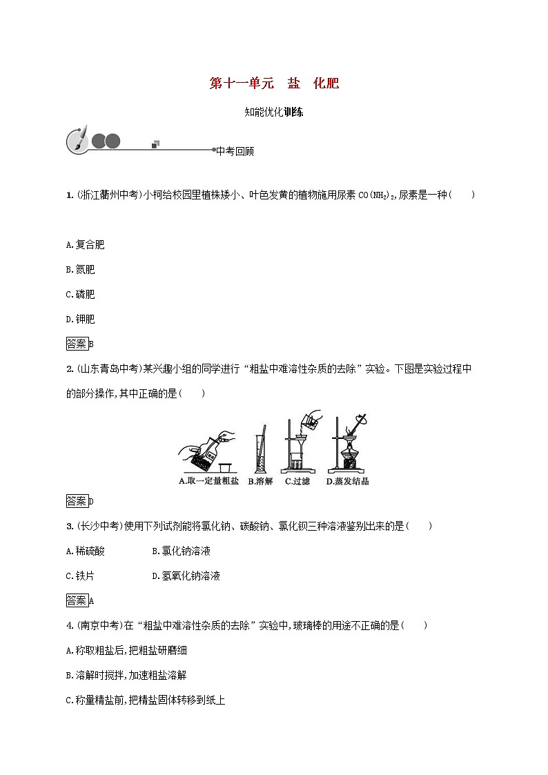 中考化学一轮复习基础知识过关11盐化肥知能优化训练 (含答案)第1页