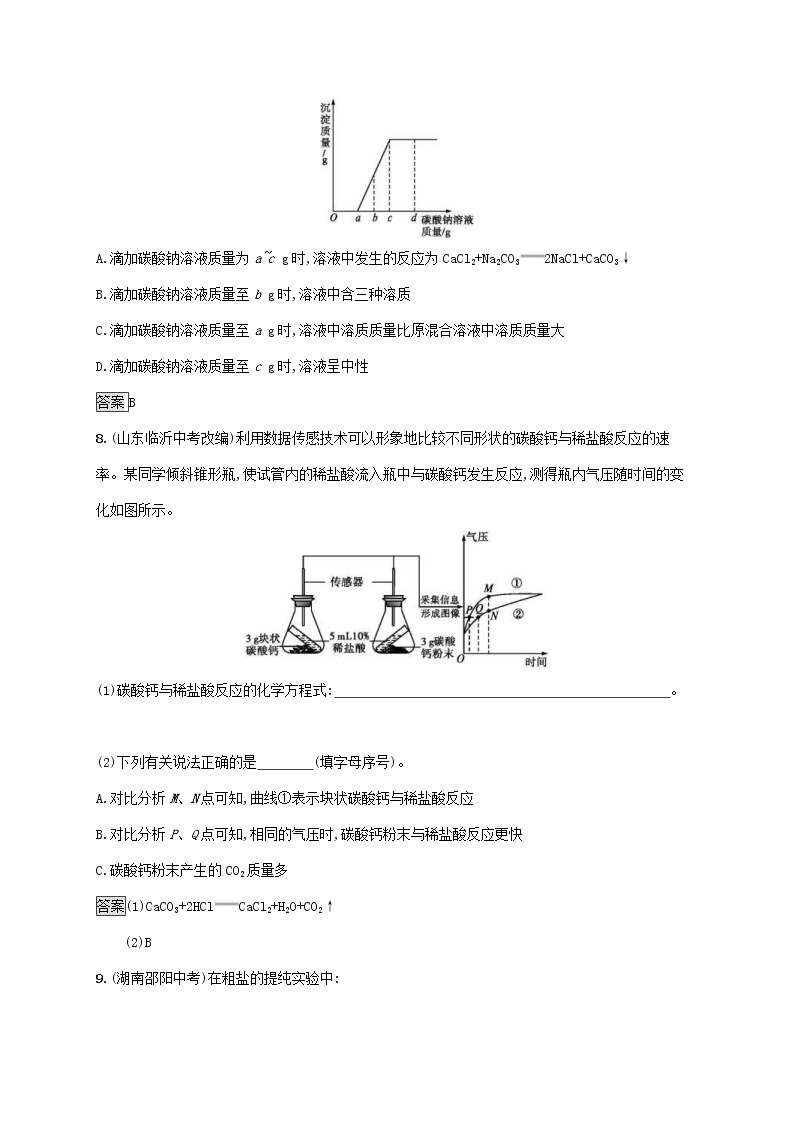 中考化学一轮复习基础知识过关11盐化肥知能优化训练 (含答案)03