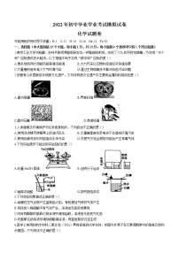 2022年安徽省合肥市瑶海区中考一模化学试题（word版含答案）
