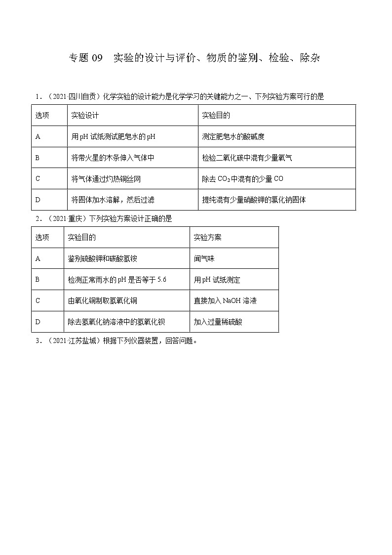 专题09 实验的设计与评价、物质的鉴别、检验、除杂(原卷版)第1页