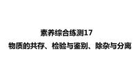2022年湖南省益阳市中考化学素养综合练测17物质的共存、检验与鉴别、除杂与分离课件