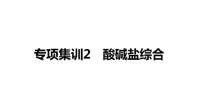 2022年湖南省益阳市中考化学专项集训2酸碱盐综合课件第1页