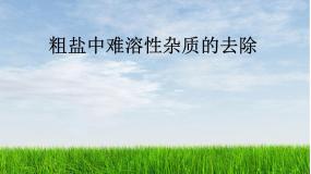 鲁教版九年级下册到实验室去：粗盐中难溶性杂质的去除课前预习课件ppt