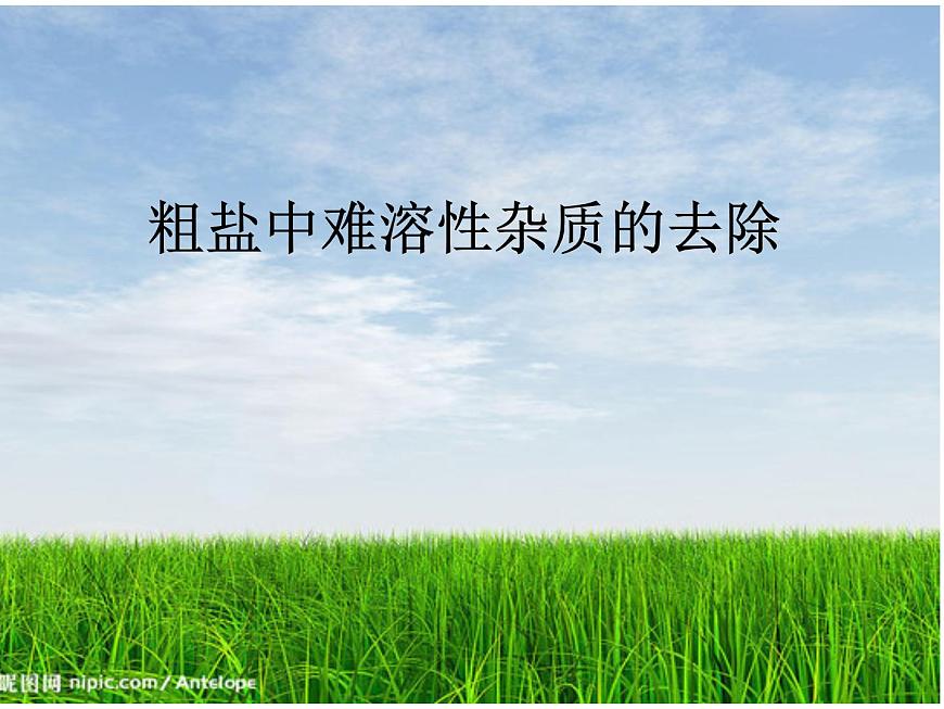 魯教版九年級(jí)下冊(cè)化學(xué) 8.4到實(shí)驗(yàn)室去:粗鹽中難溶性雜質(zhì)的去除 課件第1頁(yè)