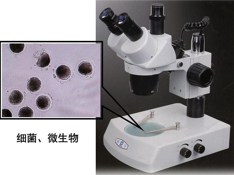 鲁教版(五四制)八年级化学 2.1运动的水分子 课件第8页